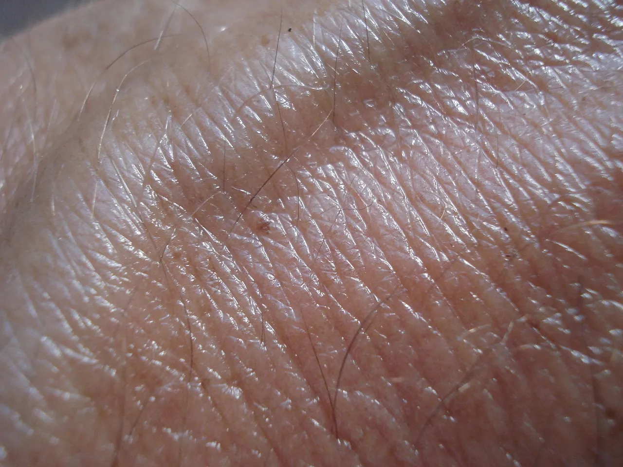 Skin Illumination 