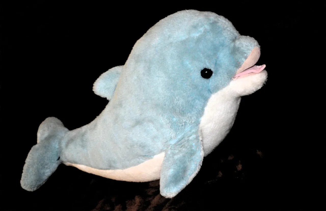 Dolphin Discovery