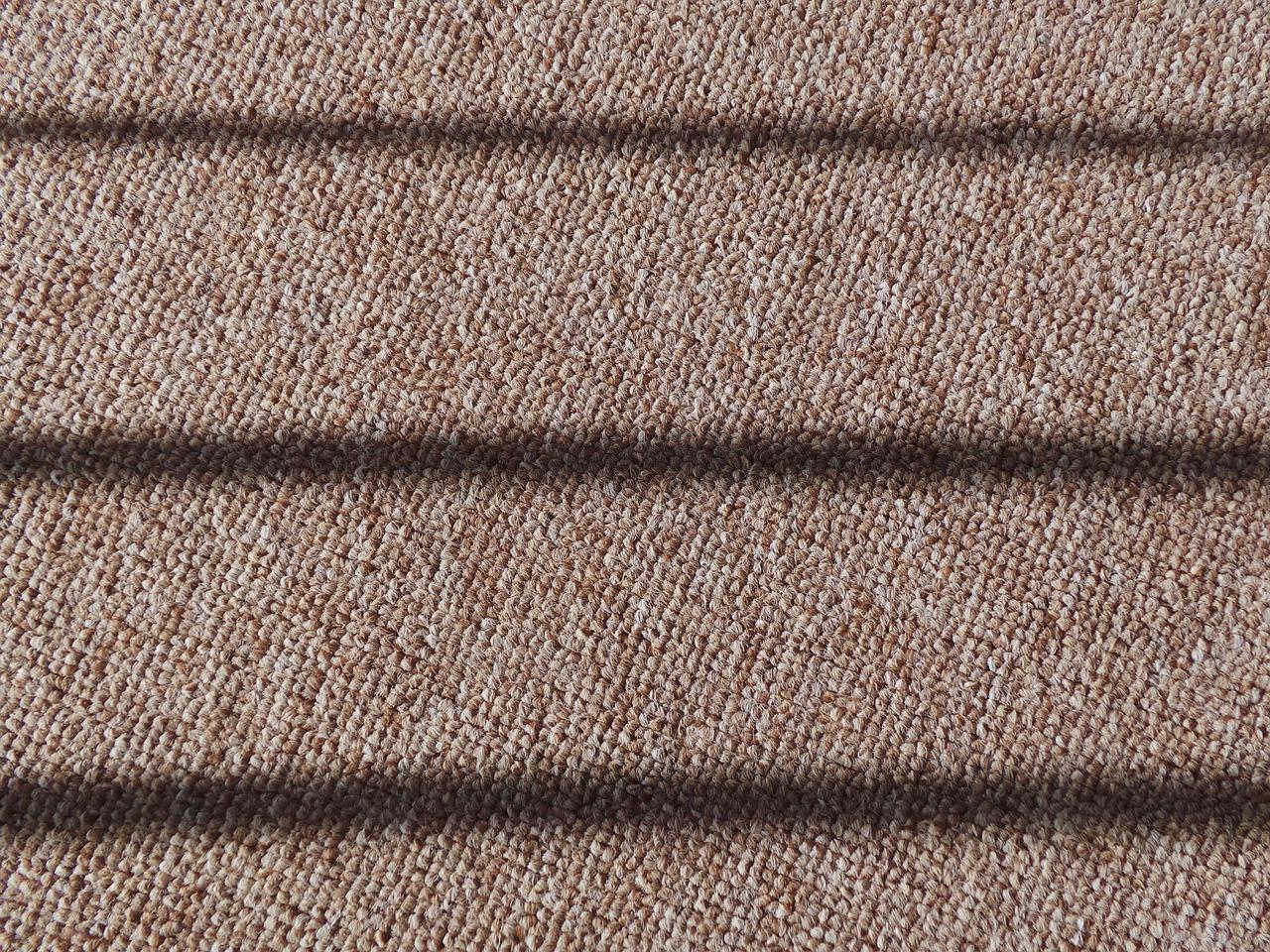 Home into a Dream with Professional Carpet Cleaning Services in Avon, CO